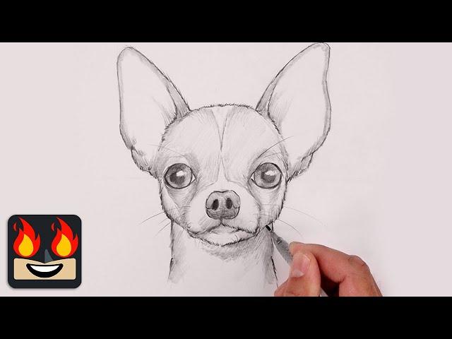 How To Draw a Dog | Chihuahua Sketch Tutorial