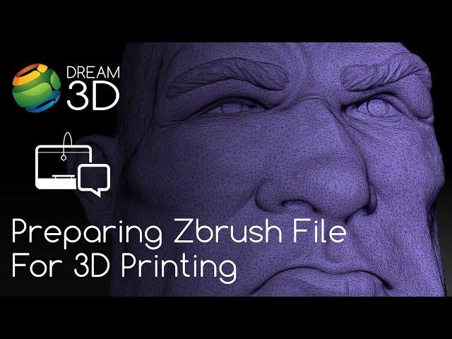 Preparing a Zbrush File for 3D Printing | Tutorial | Dream 3D