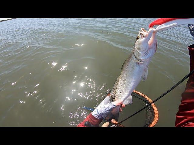 Wading West Matagorda Bay---Speckled Trout Fest March 2023