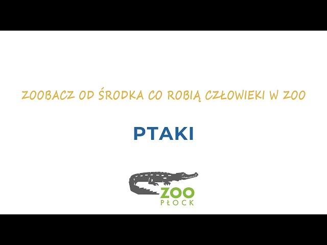 ZOObacz od środka co robią człowieki w ZOO - odc. 5 Ptaki