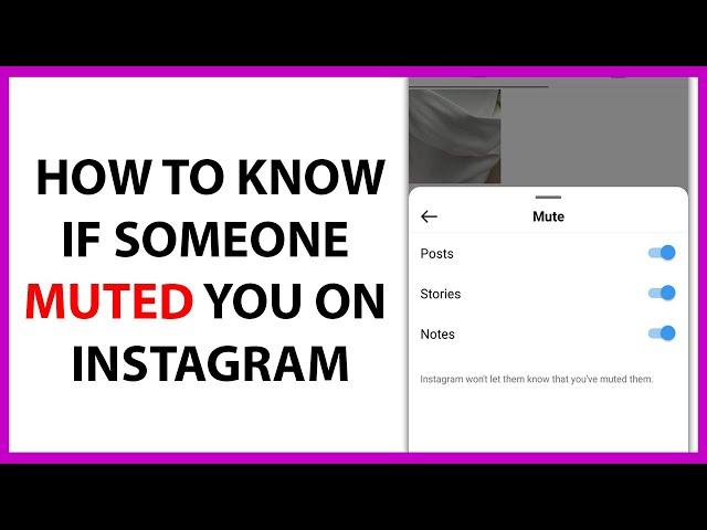 How to Know If Someone Muted You on Instagram in 2024