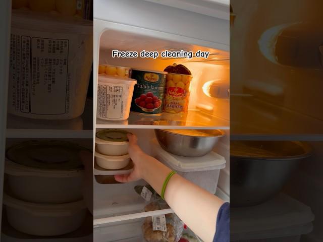 Freeze  deep cleaning day #freeze #summer #deepcleaning #cleaning #housewife #japan #yt #shortsfeed