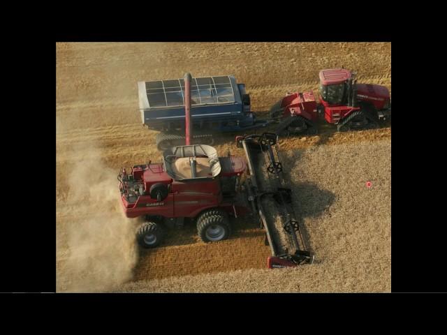 Maximum Wheat Yields - Farming Smarter