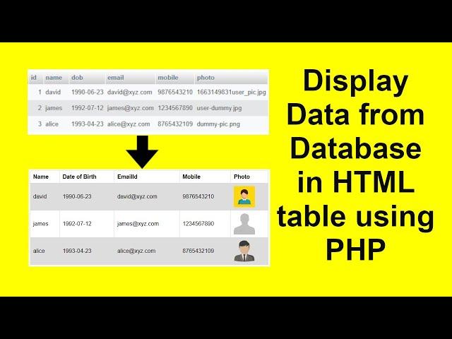 Display fetch data from database using PHP MySQLi