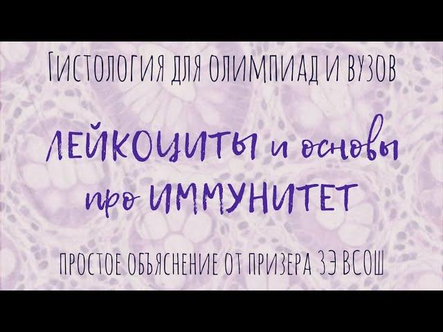 Клетки крови, лейкоциты и иммунитет | гистология - все ткани человека для олимпиад и вузов!