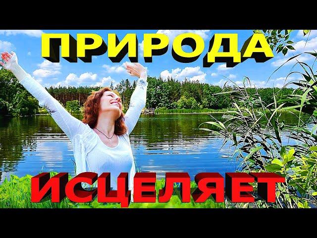 Невероятная сила природы: Как природа исцеляет человека / Healing nature