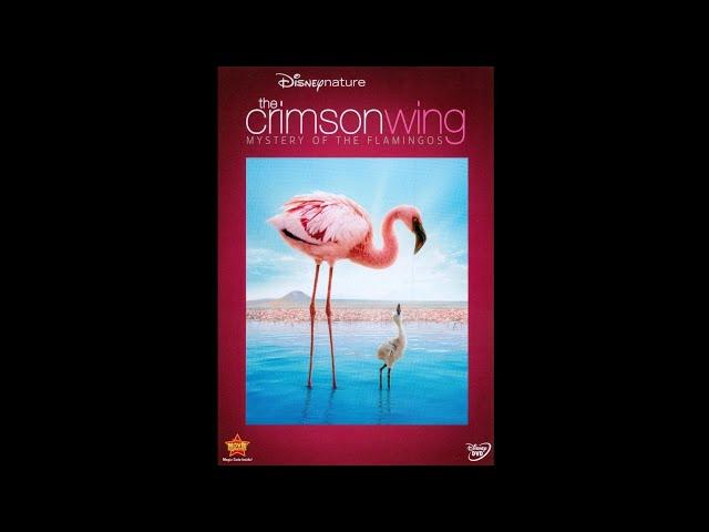 Opening to The Crimson Wing: Mystery of the Flamingos 2010 DVD