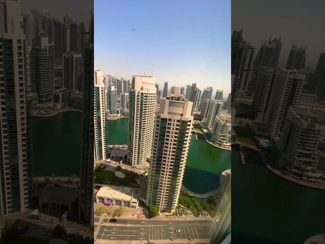 Dubai Marina View.      #dubai #uae #travel  #short #reels #video