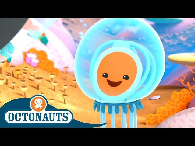 Octonauts - The Immortal Jellyfish | Cartoons for Kids | Underwater Sea Education