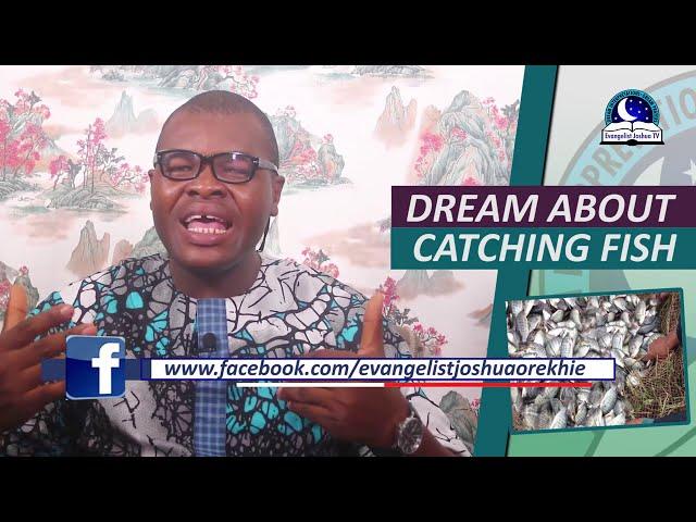 DREAM ABOUT CATCHING FISH - Biblical Meaning Of Fish In Dream