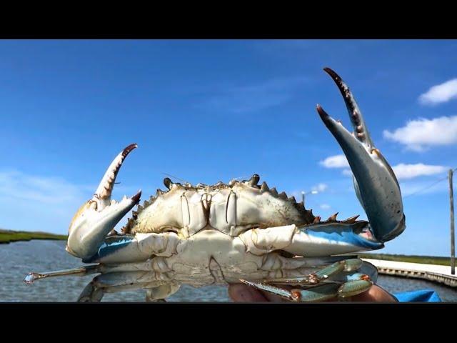 Crabbing - Little Egg Harbor, NJ