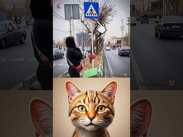 give this video title  (warning answer) #cat #meme #dance #trending