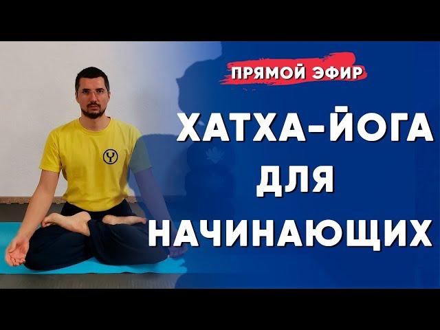 Хатха-Йога для начинающих в домашних условиях | Йога Чести | Владимир Присяжнюк