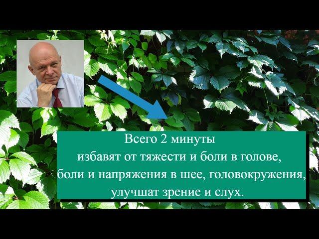 2 минуты от мигрени, головной боли, напряжения в шее, головокружения и улучшения зрения. Самомассаж