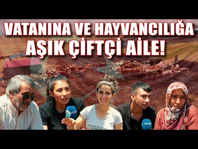 Vatanına Ve Hayvancılığa Aşık Çiftçi Aile! "Toprağımızı Ermenistan'a Mı Bırakalım?" / Abi Nerdesin?