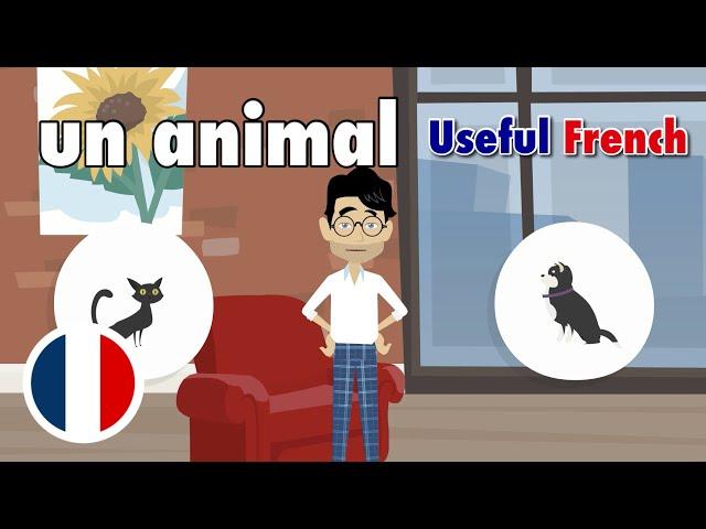 Learn Useful French: Choisir un animal de compagnie - Choosing a Pet