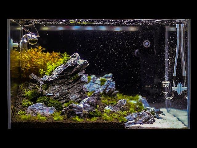 Запуск и оформление с нуля неприхотливого травника / Setup Nature Aquarium Step-by-step