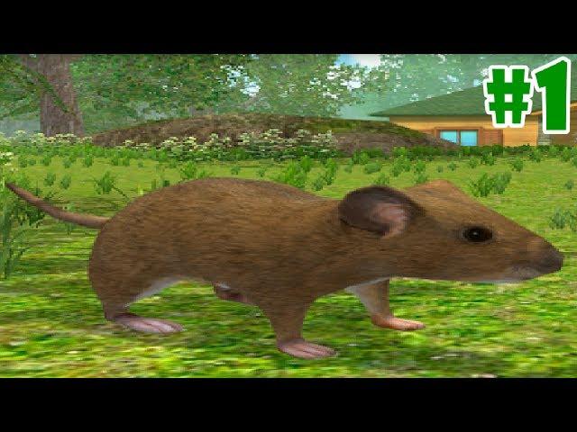 Mouse Simulator : Rat Rodent Animal Life - Android/iOS - Gameplay Episode 1