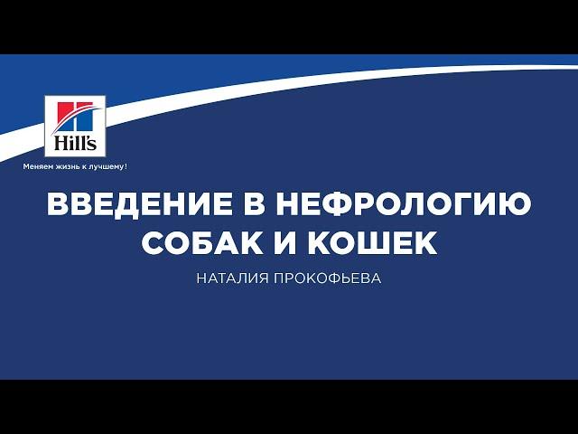 Вебинар №1 школы НЕФРОУРОВЕТ: "Введение в нефрологию собак и кошек". Лектор - Наталия Прокофьева.