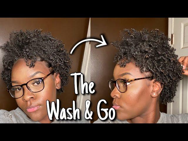 Defined Wash and Go | WETLINE XTREME GEL | Type 4 Natural Hair