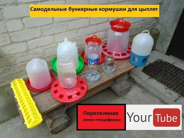 Самодельные бункерные кормушки для цыплят