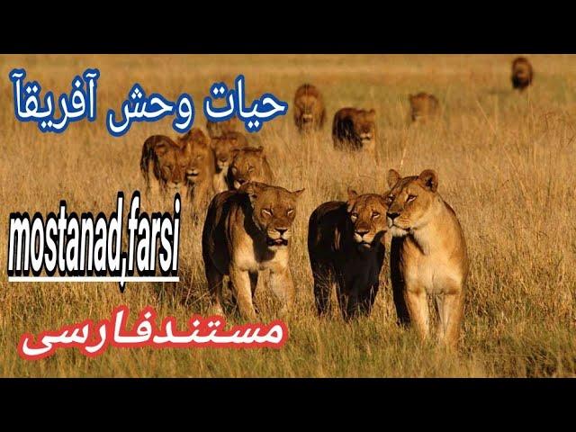 مستندحیات_وحش آفریقآ_AFRICAدوبله‌فارسی