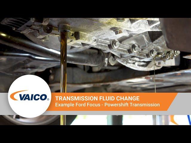 Transmission fluid change on Powershift of a Ford Focus [EXPERT KITS+ V25-0796]