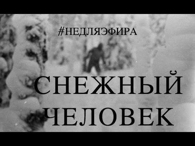 Снежный человек на Перевале Дятлова