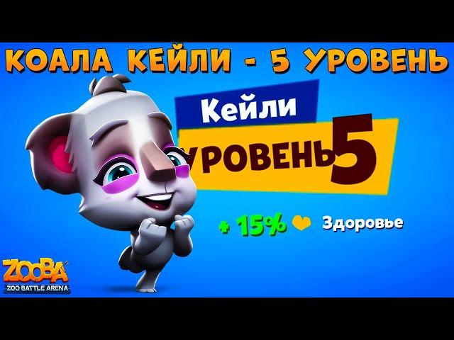 КАЧАЕМ КОАЛУ КЕЙЛИ НА 5 УРОВЕНЬ В ИГРЕ ZOOBA