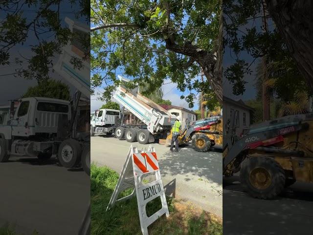 Mira como un niño se 2 años disfruta ver como construyen la carretera.  ️