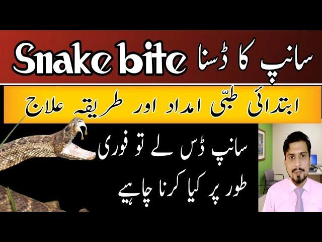 snake bite treatment in urdu | First Aid of Snake Bite | Saanp k kaatne k bad kya Karen