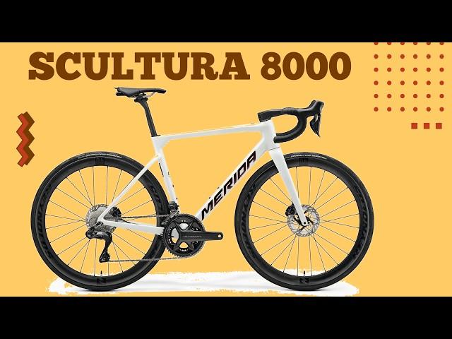 2025 MERIDA SCULTURA 8000 (£4,800) // Buyer's Guide