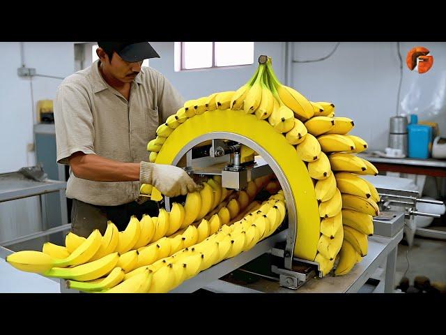 Modern Food Processing Machines operating at an Insane Level ▶3