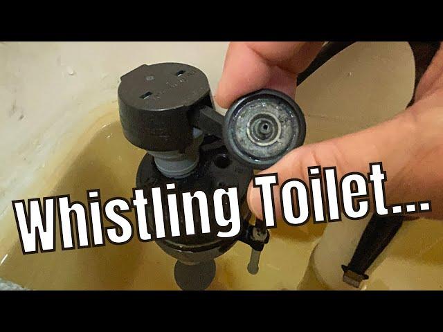 Quickly Fix a Whistling Toilet