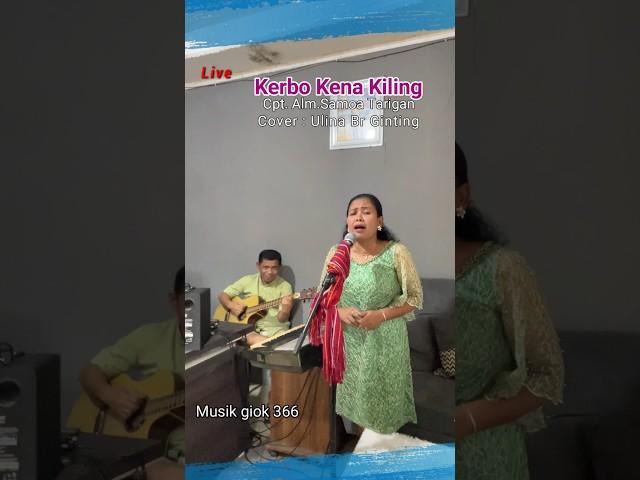 Kerbo kena kiling cover