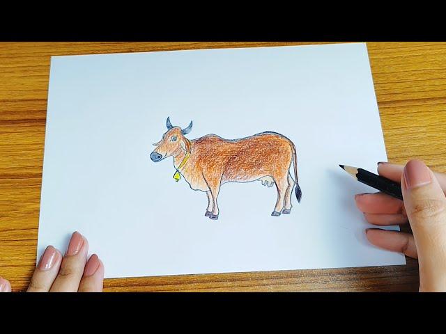 How to draw a Cow Easy | Cow drawing step by step