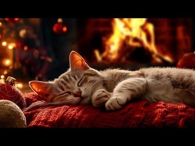 Calming Music for Cats  Music to Relieve Anxiety. Calm Your Cat with Our Relaxing Melodies