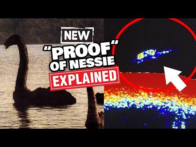 2024 Proof of the Loch Ness Monster! Do New Sonar Scans Really Reveal Nessie? (UPDATE)