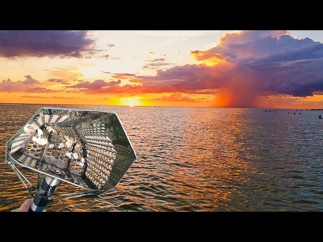 Metal Detecting Siesta Key 1 Day Before Hurricane Helene