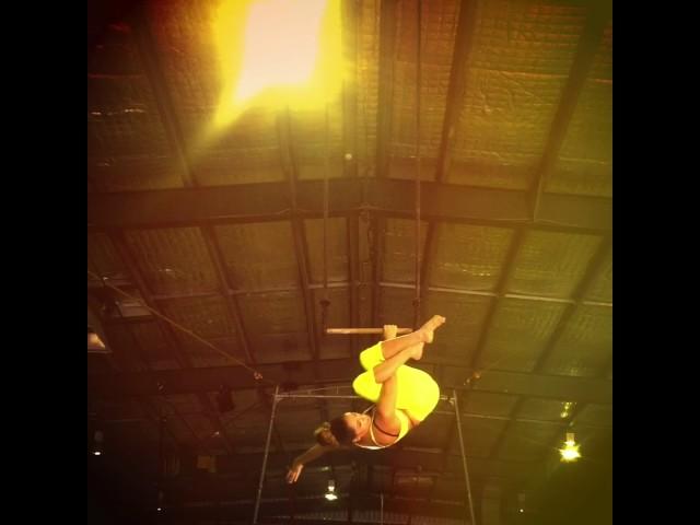 Circus- Trapeze Act