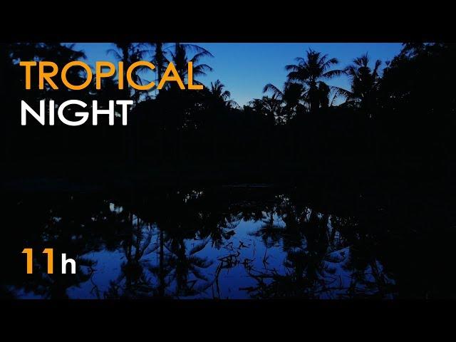 Tropical Night - Jungle Lake Sounds for Sleeping - Frogs & Crickets - 11 Hours - Relaxing Nature