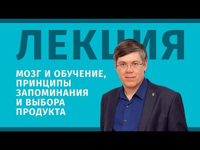 Лекция: Мозг и обучение, принципы запоминания и выбора продукта