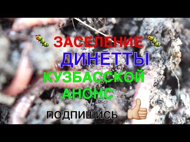 077ААНОНС  ЗАСЕЛЕНИЕ ДИНЕТТЫ КУЗБАССКОЙ 