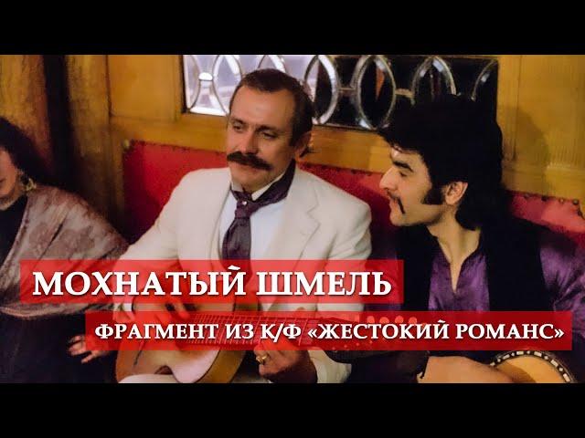 Мохнатый шмель (фрагмент из кинофильма "Жестокий романс") #мосфильм