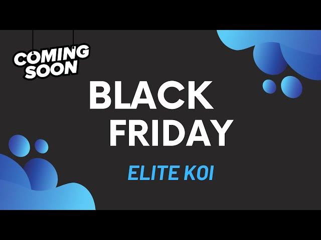 Black Friday to Cyber Monday Koi Deals Teaser – 28 Stunning Koi Sheduled!