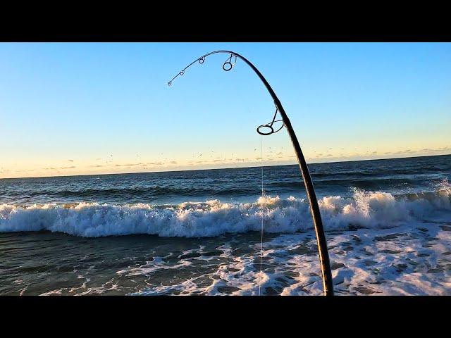 Surf Fishing on Sand and Stones as Fall Run Progresses!