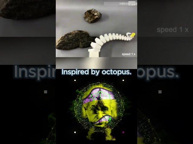 This Robot Moves Like an Octopus! 