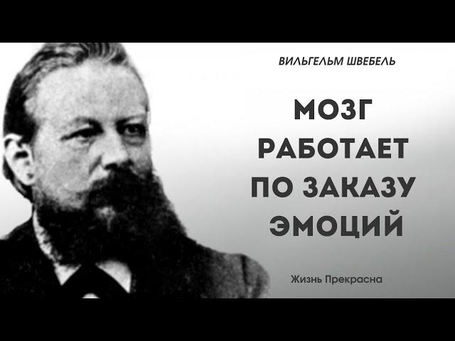 Премудрые мысли Вильгельма Швебеля. Цитаты, афоризмы, мудрые слова.