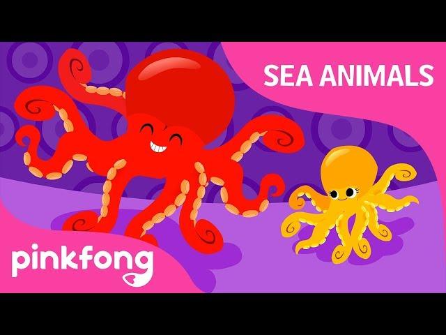 Ooh La la, Octopus | Sea Animals Song | Learn Animals | Pinkfong Songs for Children