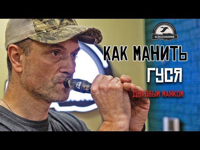 Как манить белолобого гуся духовым манком.